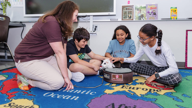 Kids petting a bunny